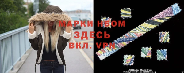ГАЛЛЮЦИНОГЕННЫЕ ГРИБЫ Баксан
