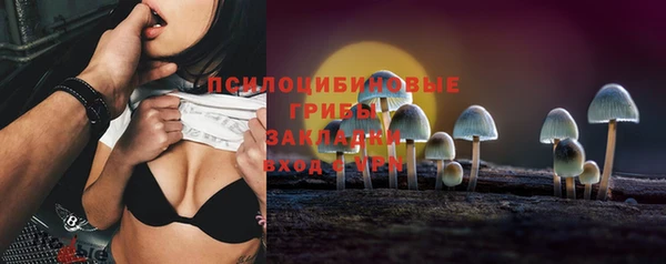 ГАЛЛЮЦИНОГЕННЫЕ ГРИБЫ Баксан