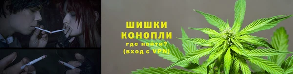 ГАЛЛЮЦИНОГЕННЫЕ ГРИБЫ Баксан