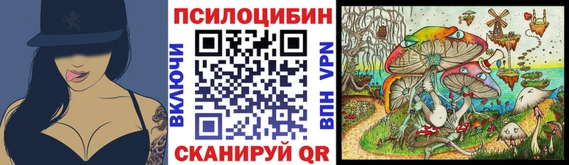 мега   Кыштым  Псилоцибиновые грибы мухоморы 