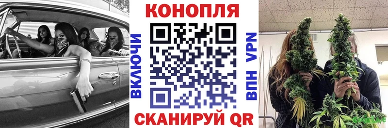 Бошки марихуана план  blacksprut зеркало  нарко площадка состав  Кыштым 